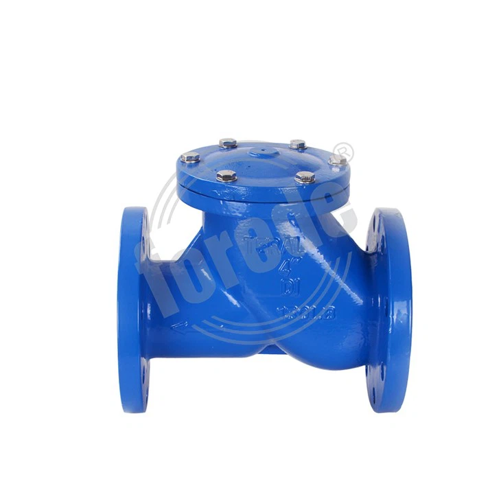 Ductile Iron Ball Type Check Valve Flanged