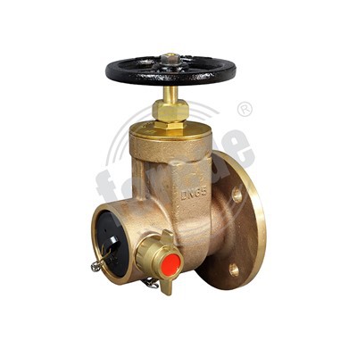 صمامات الناهض الجاف